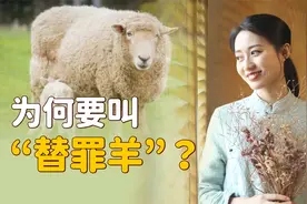 成语“替罪羊”，背后有何由来？为什么倒霉的总是“羊”？视频封面