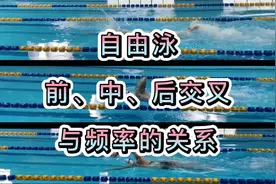 自由泳「划手」：前、中、后交叉与频率的关系！视频封面