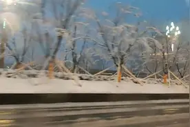 如约而至！武汉一夜降雪 大地银装素裹美如童话王国视频封面