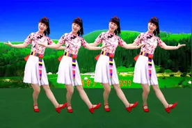 藏族广场舞《巴扎黑》演唱：艾丽娅琪琪格，草原民族风，好听好看视频封面