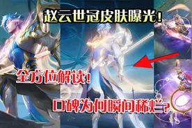 奈奈：赵云世冠皮肤曝光！皮肤制作稀烂？全方位解读真实原因！视频封面