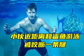 小伙近距离和鲨鱼一起游泳，没有任何保护措施，不幸被咬断一条腿视频封面