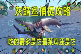 创造与魔法：灰鲭鲨捕捉攻略，超级容易捕捉！附位置图送鲨鱼心！视频封面