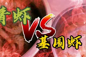 青虾与基围虾哪个性价比更好？知味厨男来告诉你，吃虾不走弯路视频封面