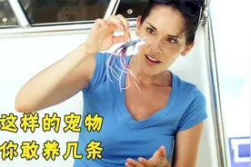美女捡到鲨鱼宝宝当宠物，却养出一怪鲨，最后大祸连连视频封面