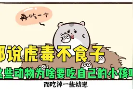都说虎毒不食子，这些动物却要吃自己孩子，你知道原因么？视频封面