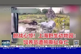 胆战心惊！上海野生动物园：饲养员遭熊撕扯身亡视频封面
