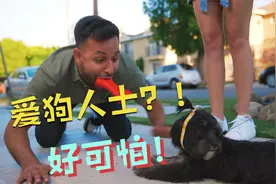 搞笑配音：那是我的狗，太过分了，玩儿着玩儿着就没了？视频封面