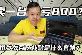 买到就是赚到？买一台拼夕夕百亿补贴的笔记本是真香还是智商税？视频封面