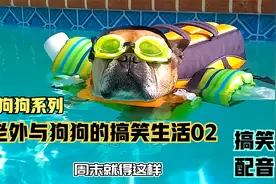 爆笑狗狗系列：老外与狗狗的搞笑生活02！搞笑配音！开心一整天！视频封面