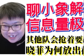 查猪聊小象解散和国内刀圈，信息量极大！视频封面