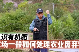 变废为宝，农场一般都是怎么处理农业废弃物的？视频封面