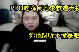 PDD吃鸡倒地求救队友惨遭无视,直言要罚款视频封面
