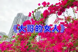 2022又火了一首情歌《大哥的女人》旋律动听，醉人心扉，好听至极视频封面