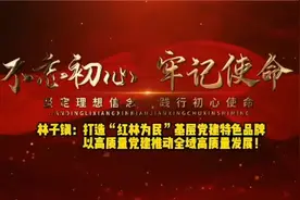 林子镇：打造“红林为民”基层党建特色品牌视频封面