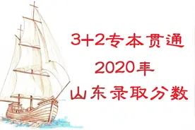 20年山东3+2录取最低分视频封面