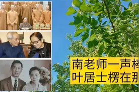 第45集，南怀瑾老师一声棒喝，叶曼居士愣在那里，二次打禅七进步视频封面