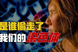 传说被偷走的24号染色体，隐藏着人类起源的秘密？视频封面