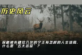 探秘被朱棣拉入伙的宁王有怎样的人生结局。什么是“五大名窑”？视频封面