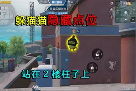 和平精英揭秘：“躲猫猫”隐藏点位，站在2楼柱子上，非常合理！视频封面