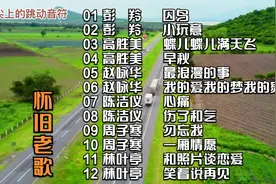 90年代怀旧老歌 《囚鸟》《心痛》《勿忘我》《早秋》视频封面