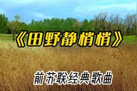 经典前苏联老歌《田野静悄悄》，美妙悦耳，回忆满满视频封面