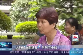 怪事！数百条鲤鱼陆续失踪，水池抽干后，发现“凶手”是它！视频封面
