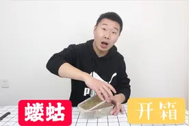 蝼蛄开箱：买了一种既是害虫又是中药的虫子，大家有见过吗视频封面