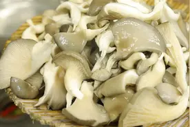 厨师长把平菇炸的酥脆，离不开脆皮糊的调制，过程真详细