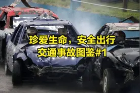 珍爱生命，安全出行，交通事故图鉴1视频封面