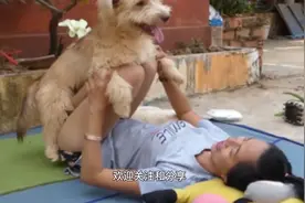 男不养猫女不养狗是为啥，这2个原因很重要，看完又涨知识了视频封面