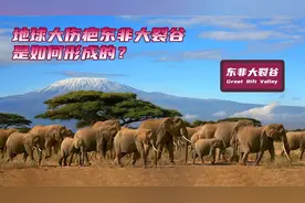 东非大裂谷是如何形成的？全长约6000公里未来很可能形成海洋视频封面