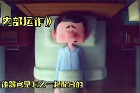 身体上各器官是怎么控制你的身体的？谁在指挥着他们？治愈动画