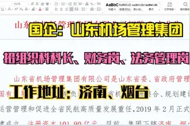 国企：山东机场管理集团招组织科科长、财务等，地址：济南和烟台视频封面