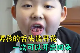 男孩的舌头能开完，最多能折出4个花瓣形状，奇闻异事视频封面