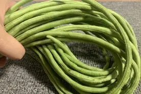 炒豆角，先放油就错了，饭店大厨炒豆角鲜嫩不发黑，熟得快有决窍视频封面