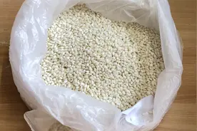 喜欢吃糯米的要收藏，教你做纯手工糯米糍粑，软糯香甜，劲道爽口