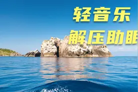 【轻音乐】国际悲歌歌一曲，狂飙为我从天落——毛泽东视频封面