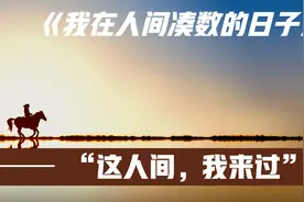 《石头记》： 真心相爱，最后都散了；搭伙过日子的，都团圆了。视频封面