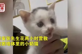 保安小哥俩小时救出被困墙缝的小奶猫视频封面