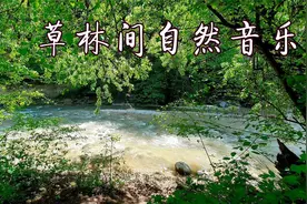 12小时极致舒适白噪音：林中溪流 放松水流声，助眠冥想 心灵疗愈视频封面