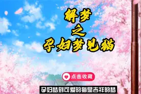 解梦之孕妇梦见猫视频封面