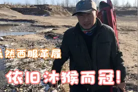 钓鱼人理解，深圳地铁事件并不是崇洋媚外！视频封面