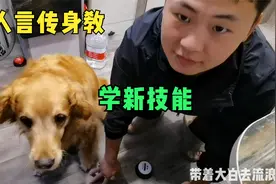 为了教会狗狗新技能，主人亲自示范，学一次就会了，太搞笑了
