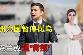 局势变天！欧洲六国暂停对乌军援，乌克兰遭“背叛”，俄胜券在握视频封面
