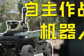 以色列企业研发武装机器人可自主作战视频封面