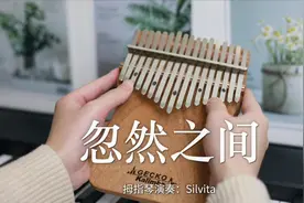 拇指琴演奏莫文蔚经典歌曲《忽然之间》我明白太放不开你的爱视频封面