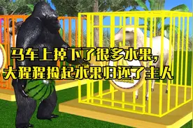 马车上掉下了很多水果，大猩猩捡起水果归还了主人视频封面