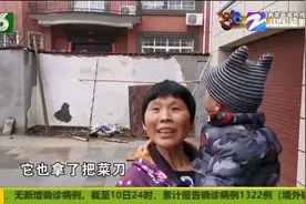 三只泼猴“大闹”村庄 蹭吃蹭喝还举刀相向 杭州有关部门介入视频封面