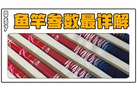 一起学钓鱼57期:要买到合适的鱼竿，这些参数你得搞明白视频封面